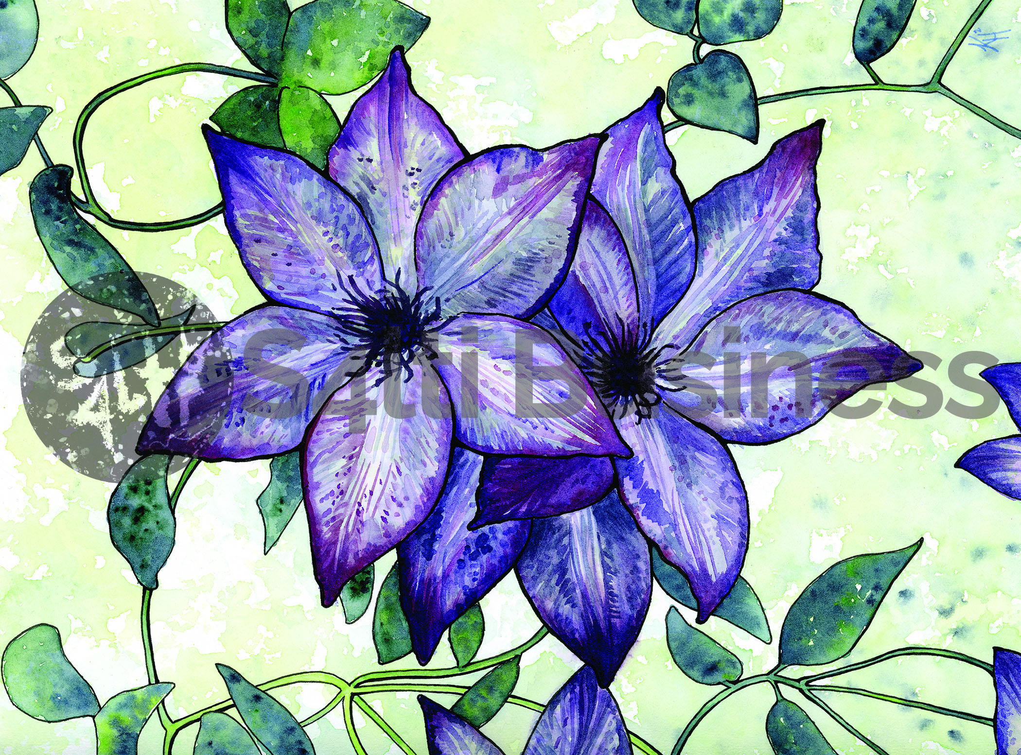 Clematis