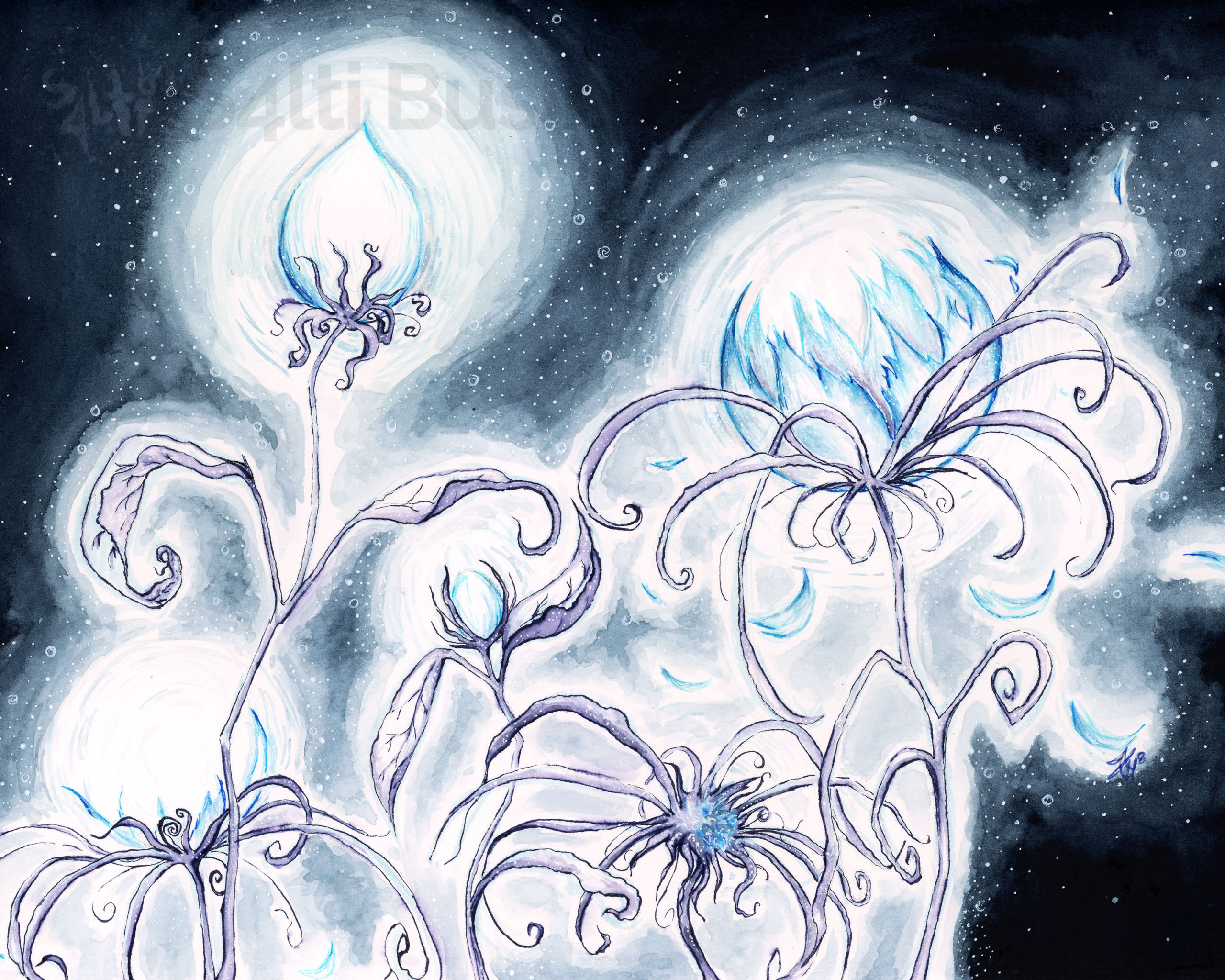 Symphony Fleeting