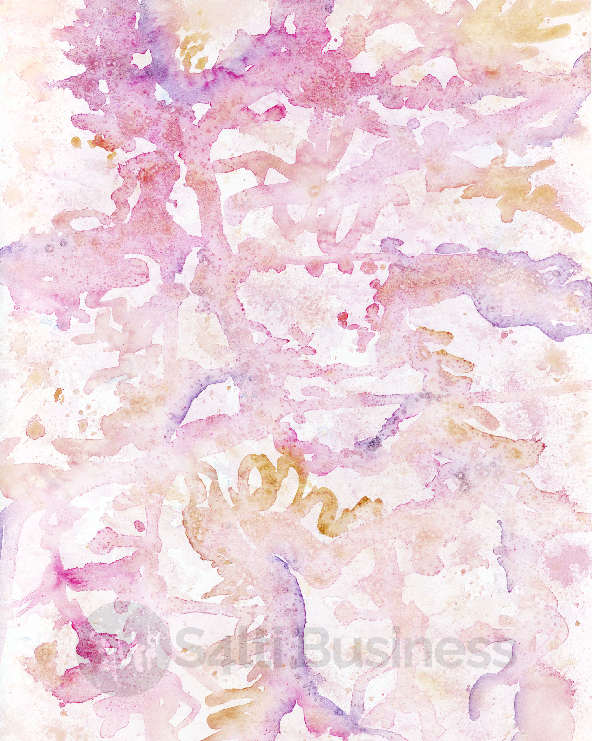Blush Coral Abstract